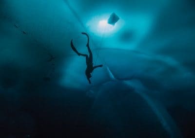 UNE AVENTURE AU CŒUR DE L’ARCTIQUE A LA RECHERCHE DU LEGENDAIRE NARVAL