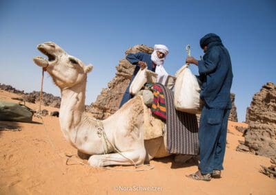 Mon voyage en Algérie