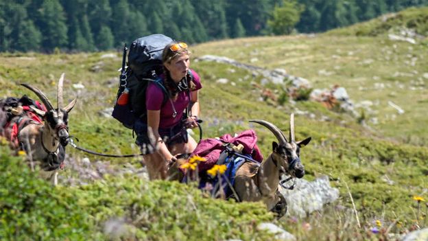Isaline, poussière d’étoile