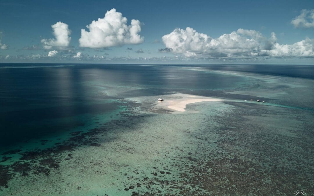 The blue quest – Palawan