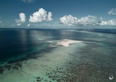 The blue quest – Palawan