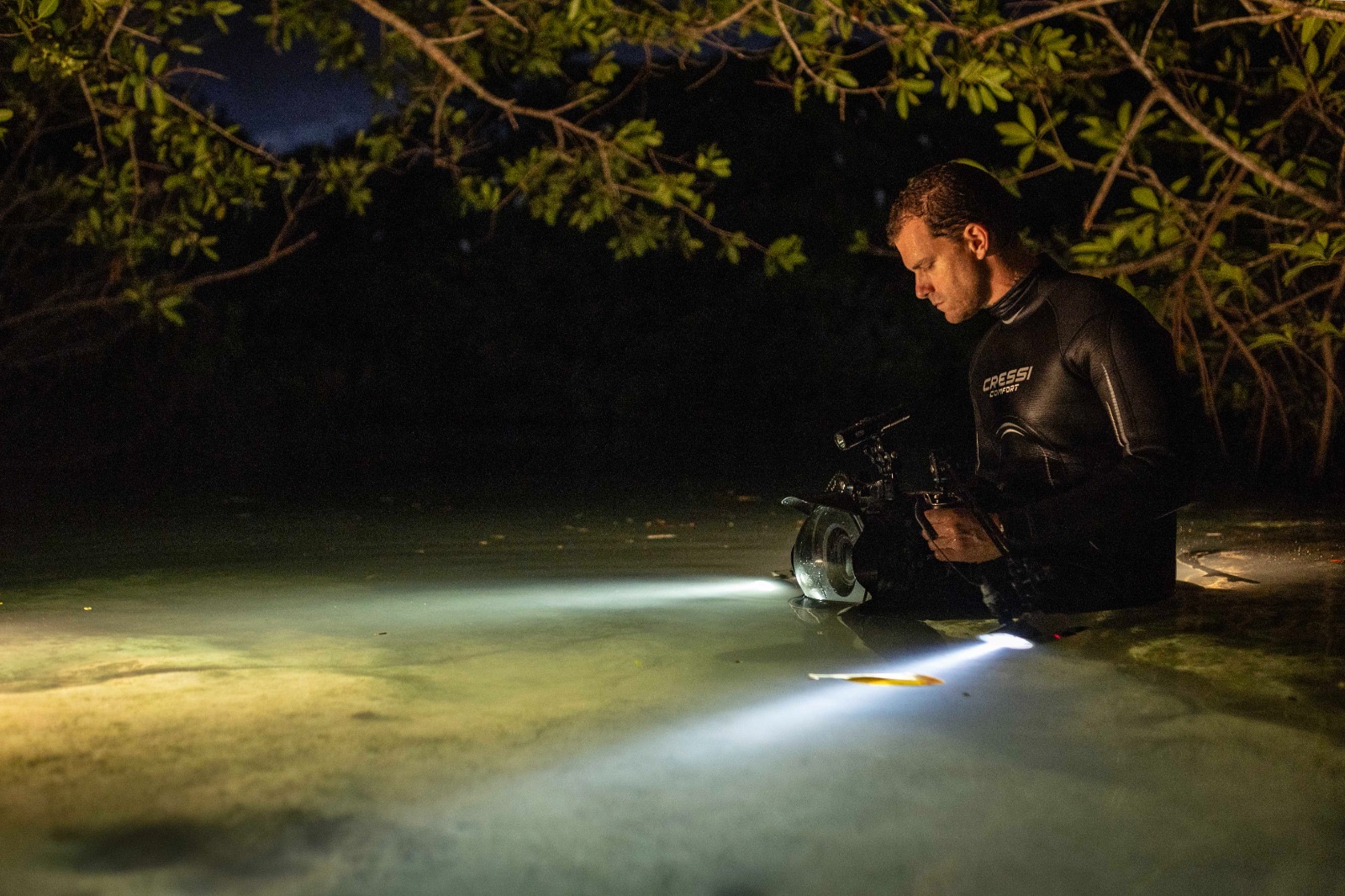 Logo Région Occitanie