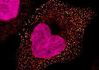 Voyage immobile au cœur du vivant