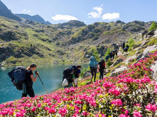 Mercantour sous nos pieds