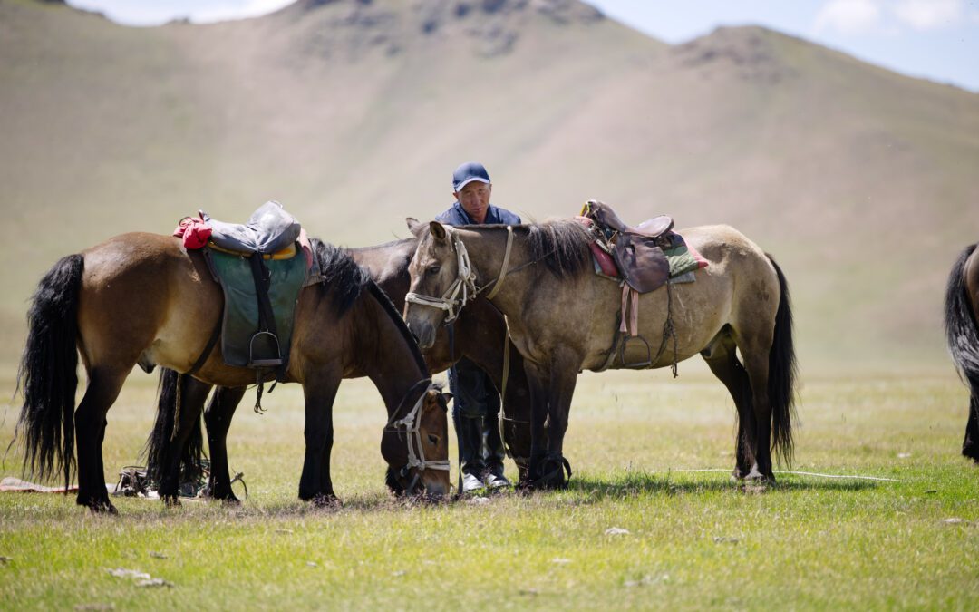 Nomades de Mongolie