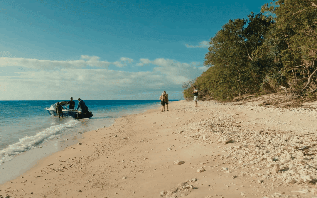 Wildlive Expeditions