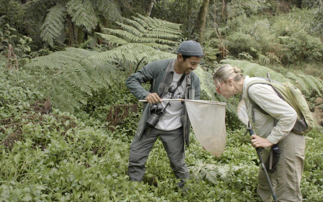 Tapulao, une montagne à partager