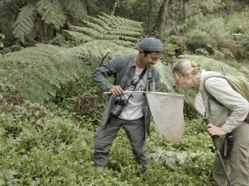 Tapulao, une montagne à partager